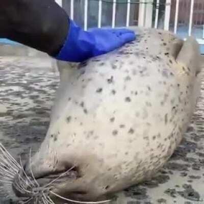 pet meeeeeeeeeeeeeeeeeeeeeeeeeeeeeeeeeeeee