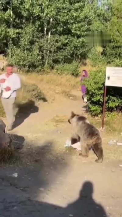 Walking close to a bear with baby in his arms.