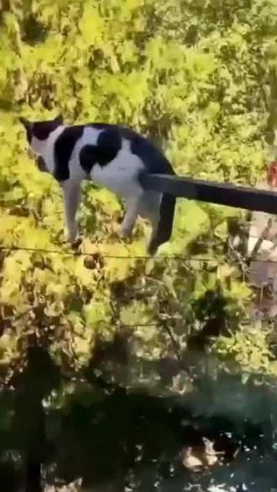 UNWaTChAbLE! dUDe tIrEd of LifE, EndS it aLl.