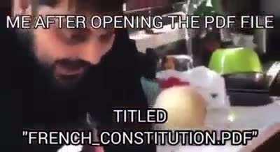 French Constitution