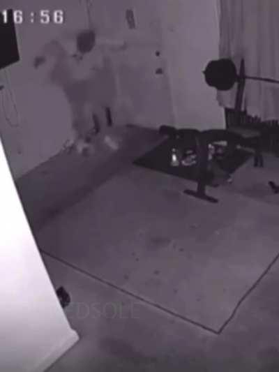 The cat was in century mode..