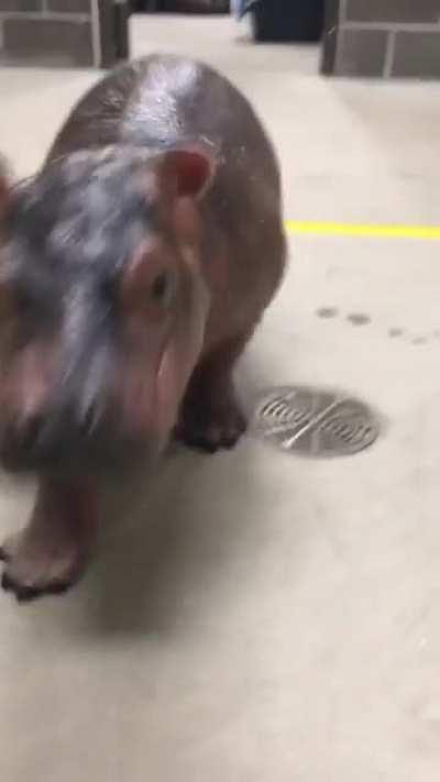 Fiona's 5th Birthday