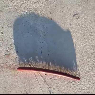 Just passing through