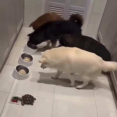 ZKN Bro Code: Bros Hold Off Until Sister Starts