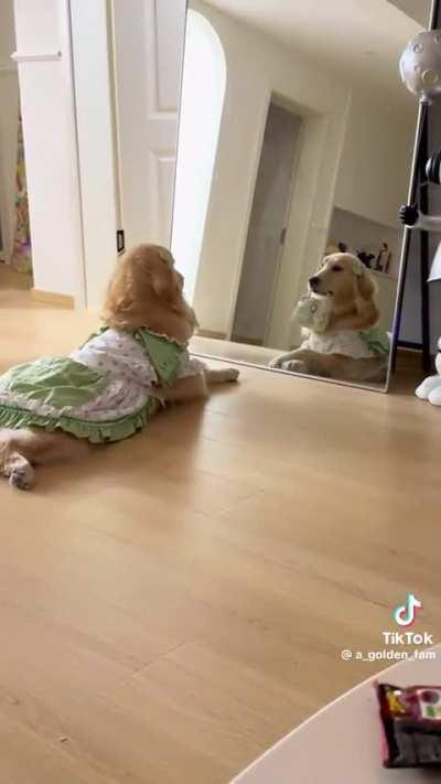 When you’re cute and you know it