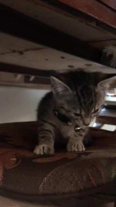 Little baby needs hugs.