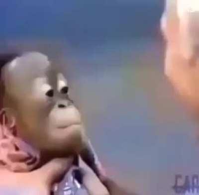 Monke😕