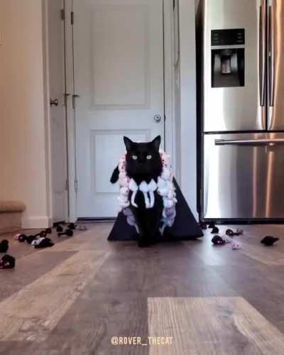 Bew(b)itching Cuumi skin coming to slay this Halloween (Leak) 🎃😻