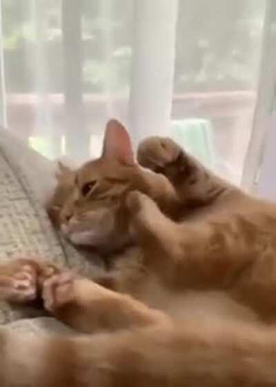 Why you hitting yourself??