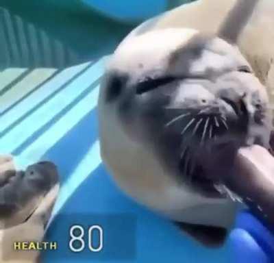 *insert racist joke here*