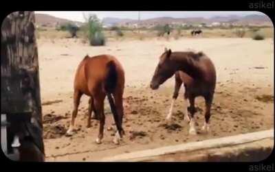 stop looking at my ass