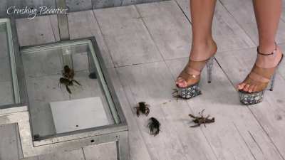 Woman crush crawdads