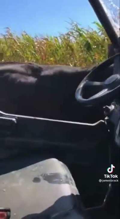 “Fuck you! You can’t tag my baby!”