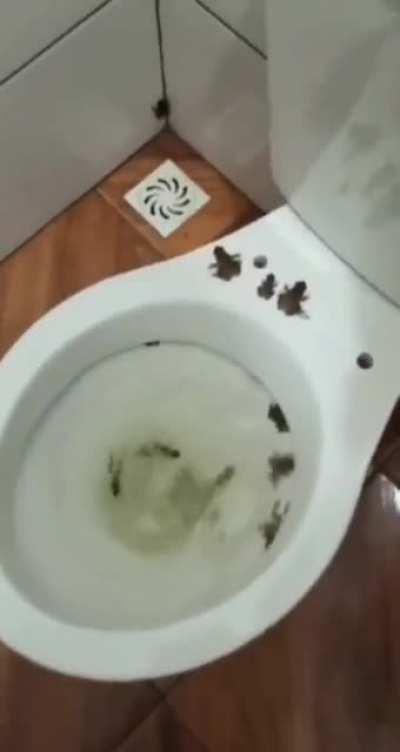 Угадай страну