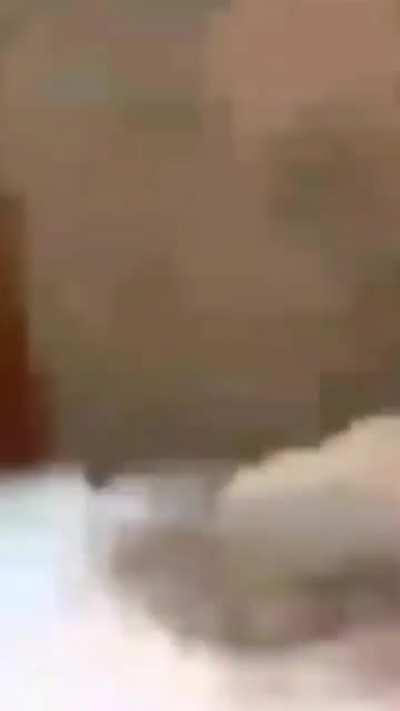 MoaiGreddit - Video #9300