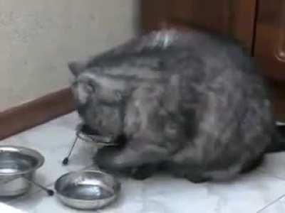 Can't resist that look