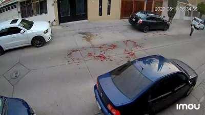 IMÁGENES SENSIBLES. Una cámara de seguridad captó el momento en que un hombre apuñala a una mujer en la colonia Granada en Gto. :( pasó hoy en la mañana.