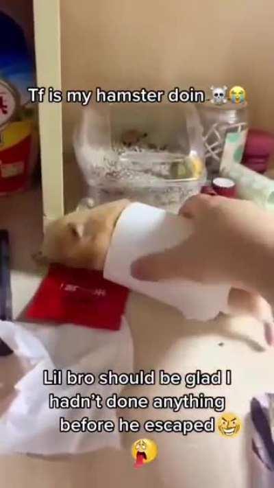 boutta have the experience of a lifetime 😈