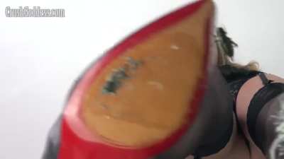 Bella Underglass Crickets - Bug Crushed