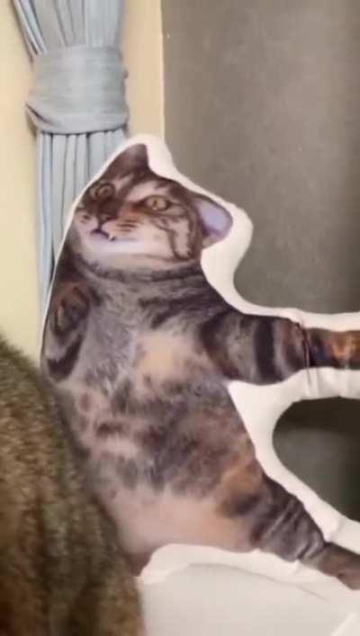 Заказчик не в восторге.