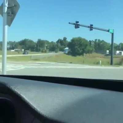 Прям молодец, учитывая что эта черепаха может и пальцы ему откусить при желании