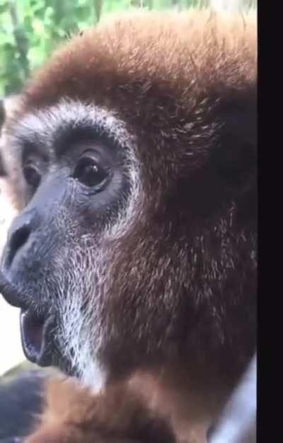 Why bro spin like that💀😭