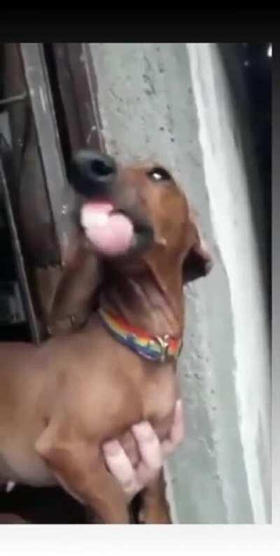 Genivaldo lançou aquele