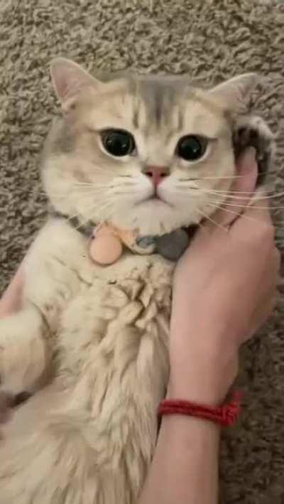 ALieN CAuGHt ReD hanDED PlaNNing LArge scaLe DEvAStaTIOn. humANS hAVe No chAnCe!