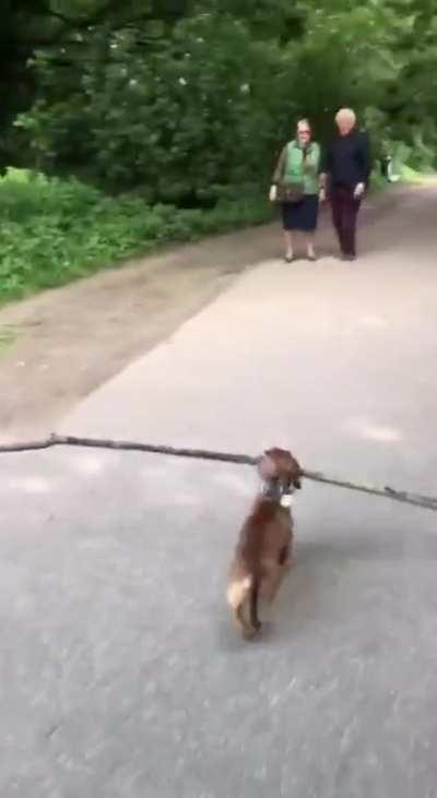 Excuse me coming through