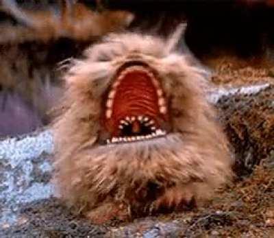 Margery Taylor Green at the SOTU address