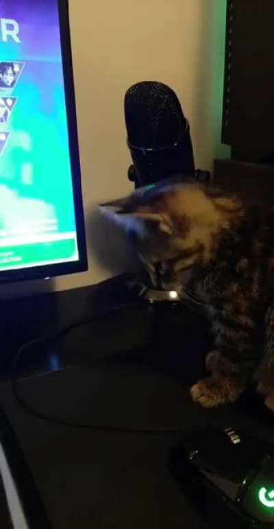 My friends ask me why I'm stuck in Plat.