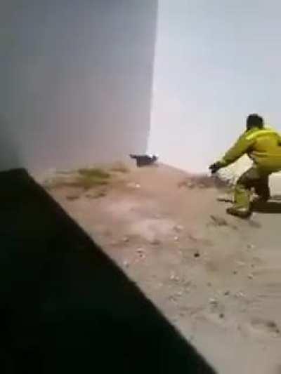Fireman vs Cat.