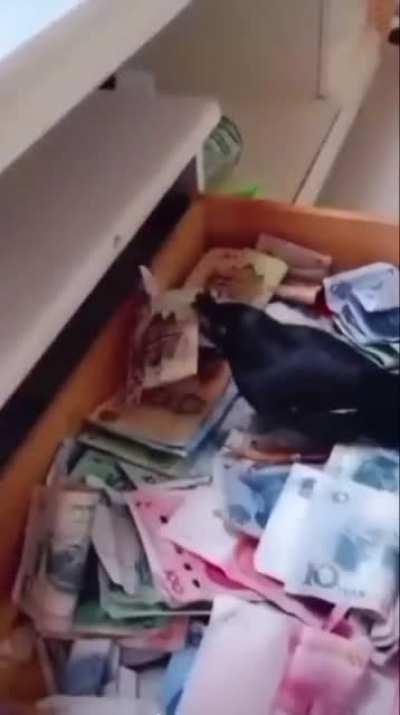 MY BEST INVESTMENT SO FAR