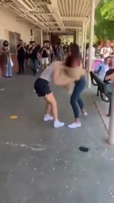 When the popular girls at school fight