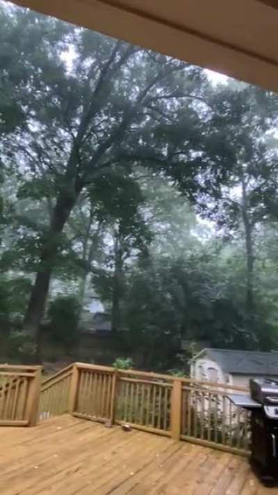 First rain at our new house. Love our backyard!