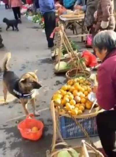 It knows how many it was sent. Don't try to fool it.