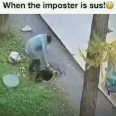 When the imposter is sus!