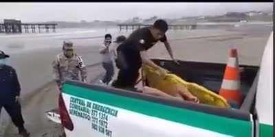 Beach Rescue