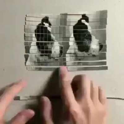 This is functioning of Convolutional Neural Networks, A single image can be transformed into four distinct and comprehensible images..