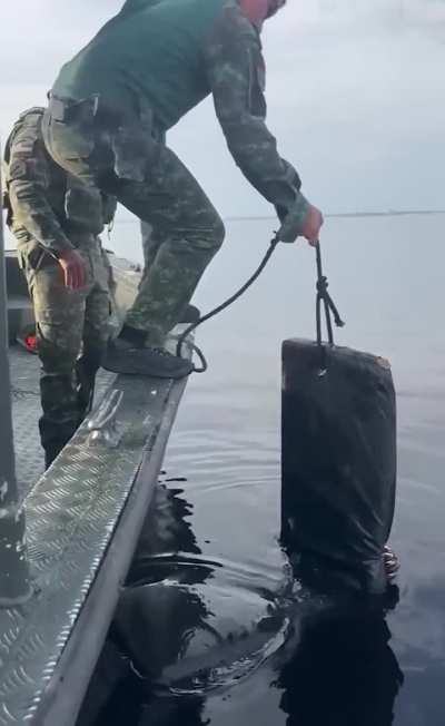 ZKN Amazing Jaguar Rescue By Brazil Police