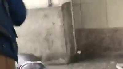 Nazi gets punched back to 1933