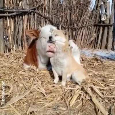 This is true friendship