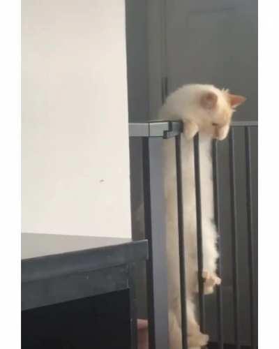 I got it I got i I got it I.....have better things to do.