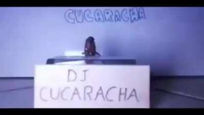 Caballeros permitanme ambientar el reddit, les pido un fuerte aplauso.