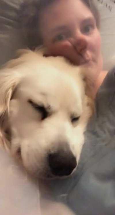 Cone of shame allows no personal space...