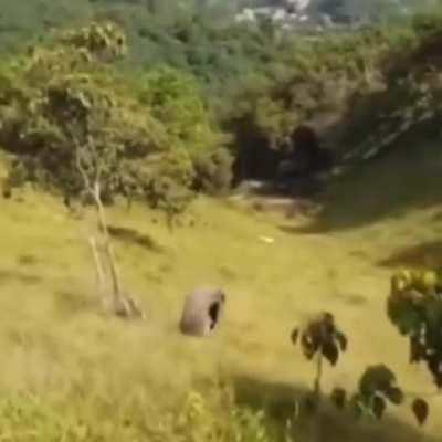 HMB while I rolling down hill.