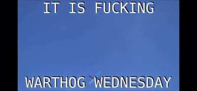 ITS FUCKIN WRRHOG WEDNESDAY!!!