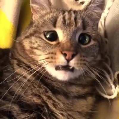 Huh? What's Going On?