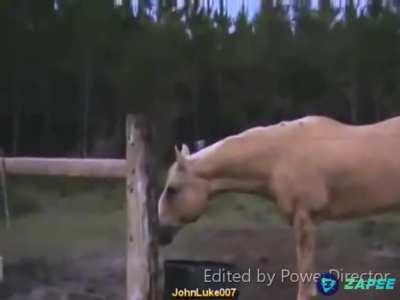 Quando vc zoa um jogador de free fire