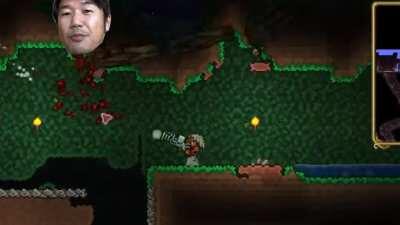 Coco VS Terraria Secret Boss